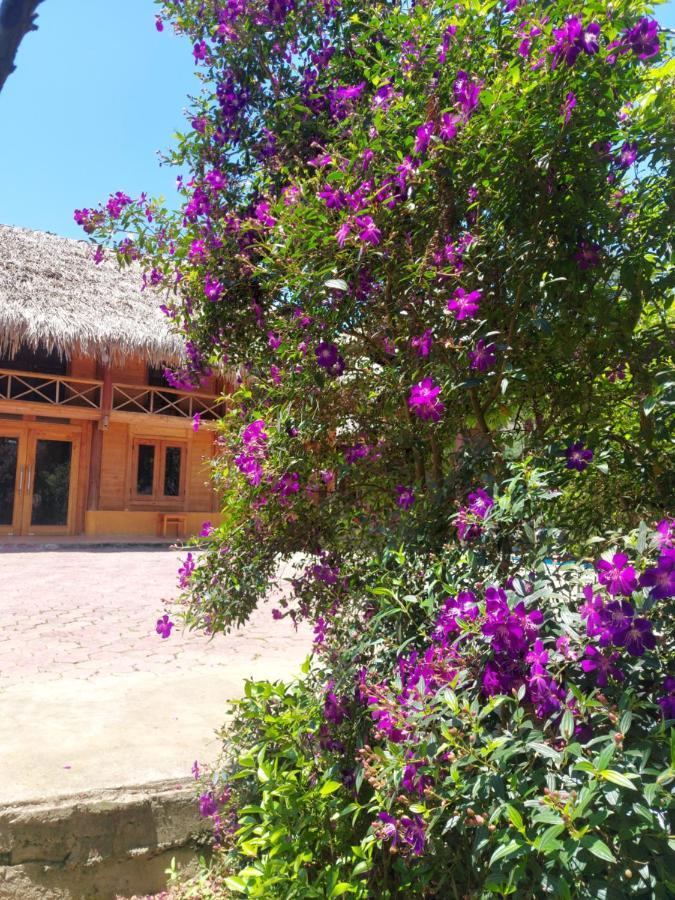 Flower Hmong Homestay Bac Ha  Eksteriør billede