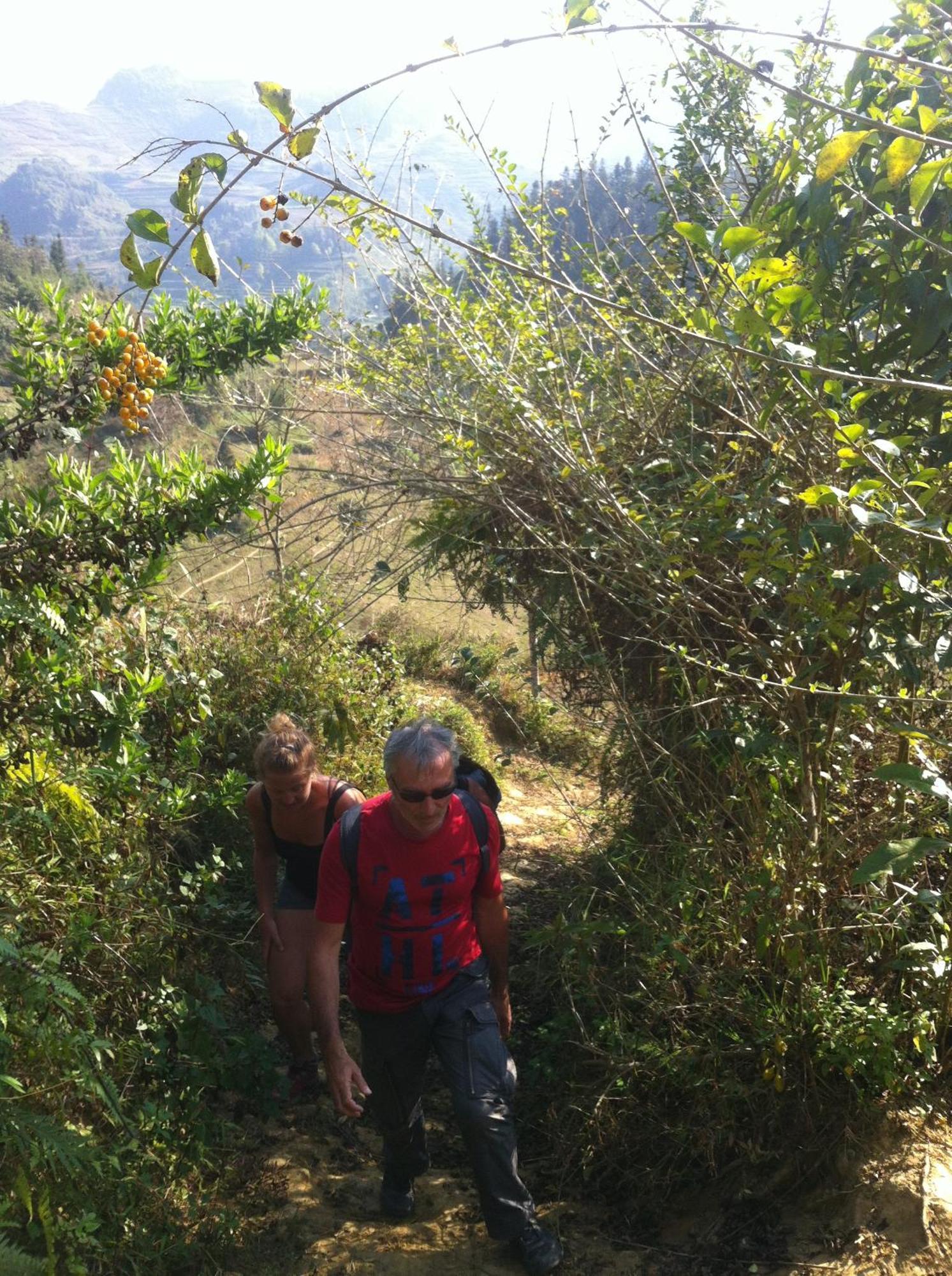 Flower Hmong Homestay Bac Ha  Eksteriør billede