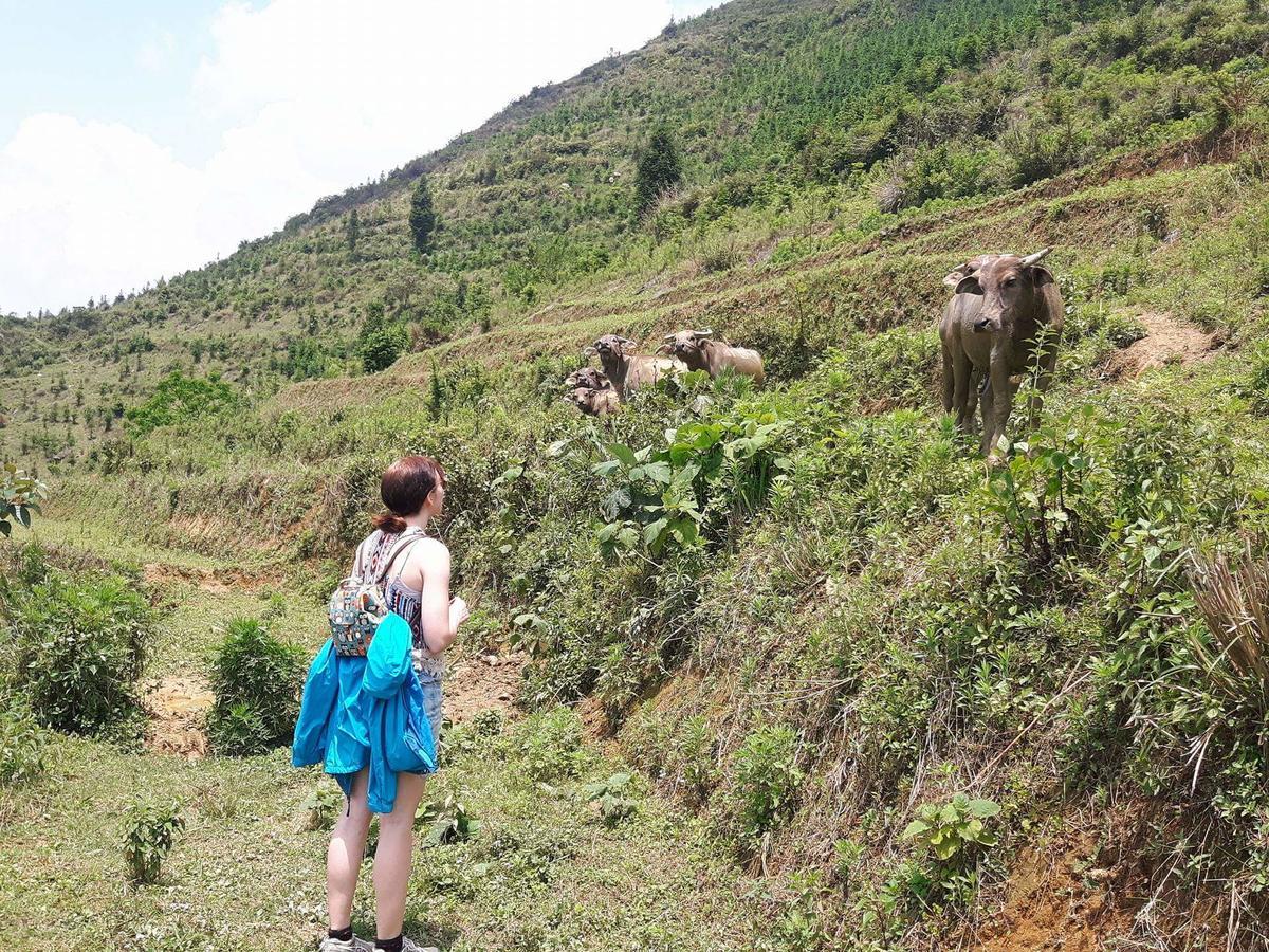 Flower Hmong Homestay Bac Ha  Eksteriør billede