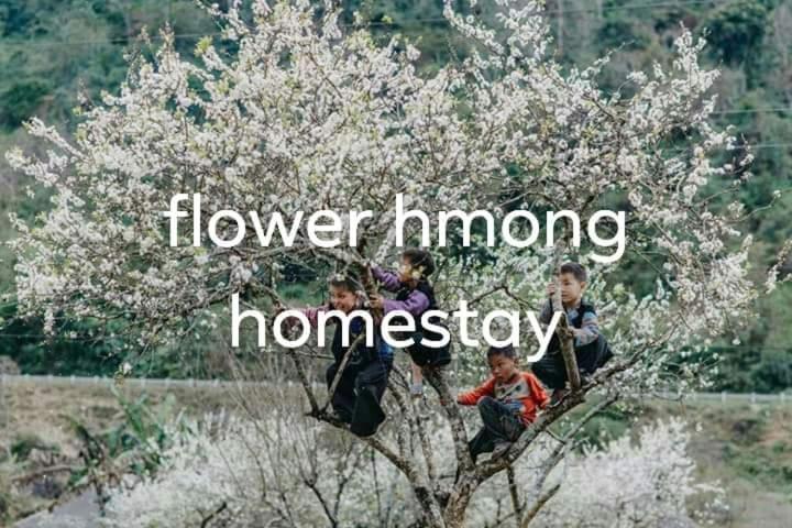 Flower Hmong Homestay Bac Ha  Eksteriør billede